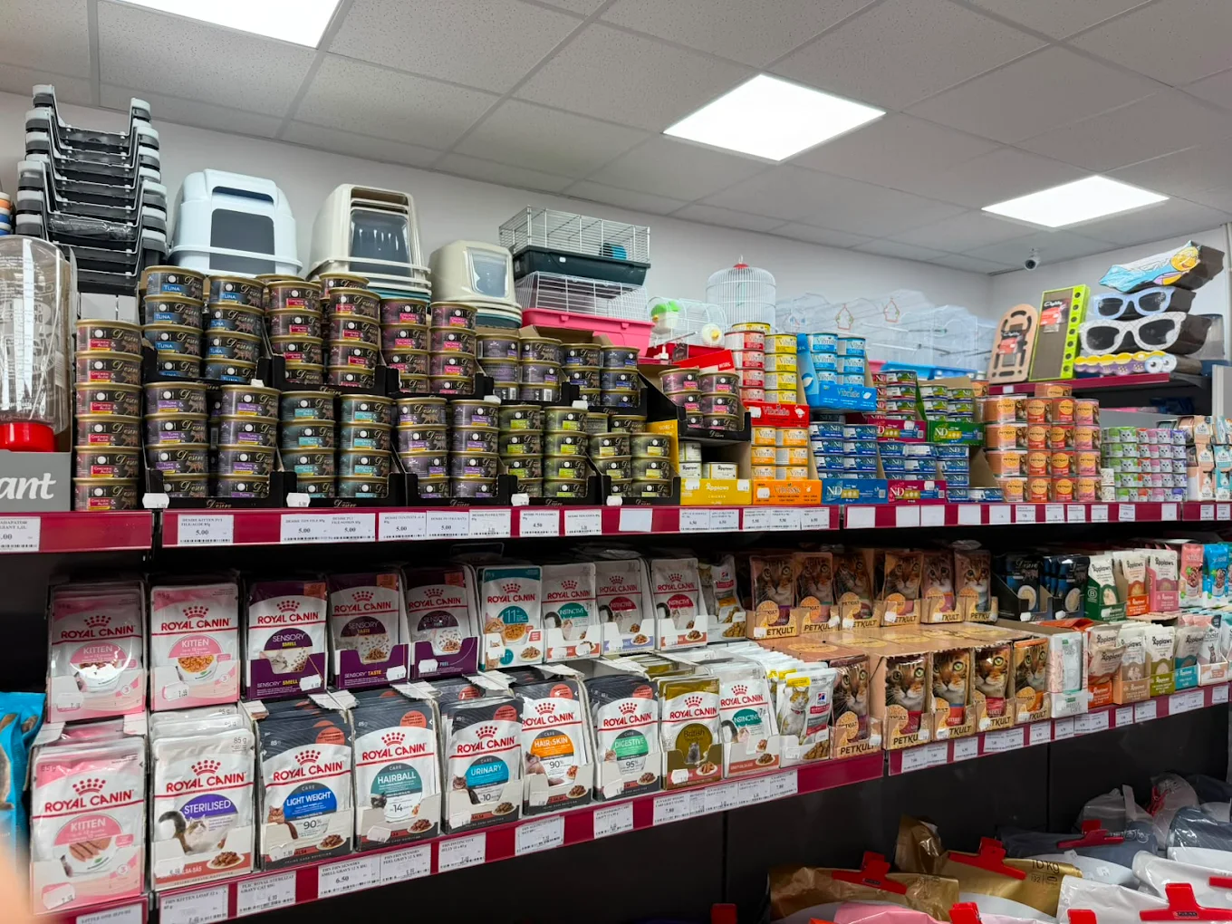 Produse pentru câini și pisici disponibile la CHIC Pet Shop